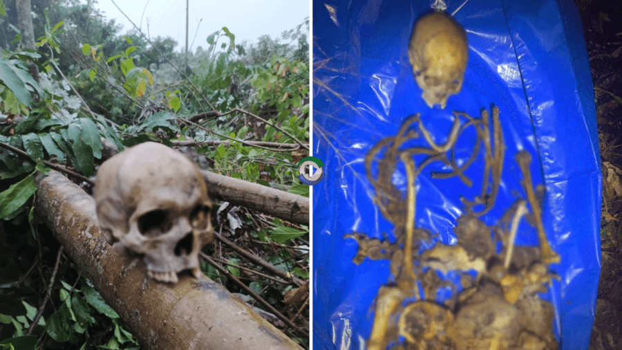 Equipe da Energisa encontra ossada humana às margens da BR-267 em Maracaju; Polícia busca identificar vítima