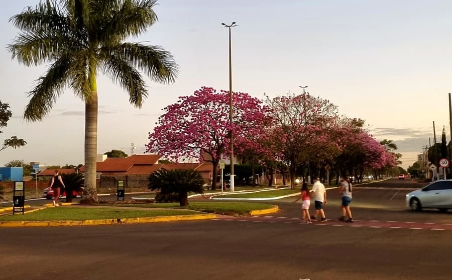 Sidrolândia foi a quarta cidade de MS que mais gerou empregos formais em junho