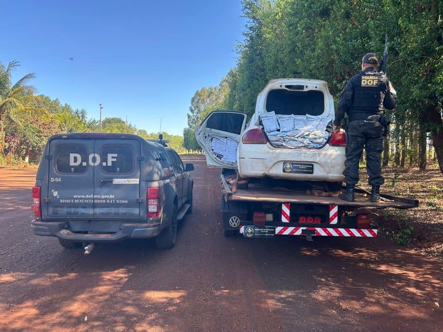 Veículo com defensivos agrícolas e cigarros contrabandeados é apreendido pelo DOF em Maracaju