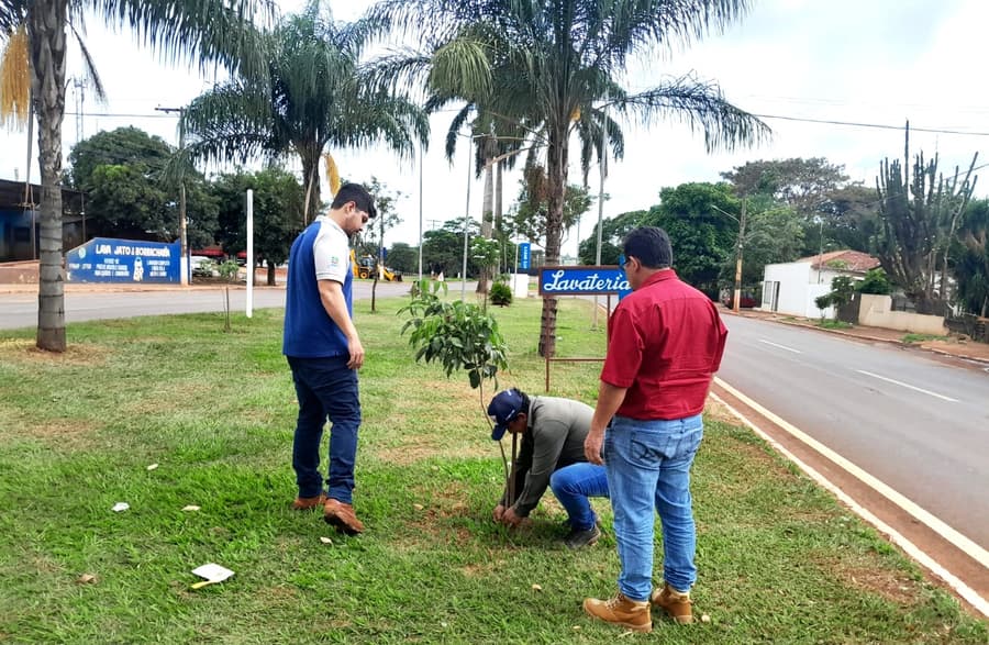 “Comprometidos em proteger o meio ambiente”, diz diretor de sustentabilidade da Inpasa ao doar mil mudas de ipês para Sidrolândia