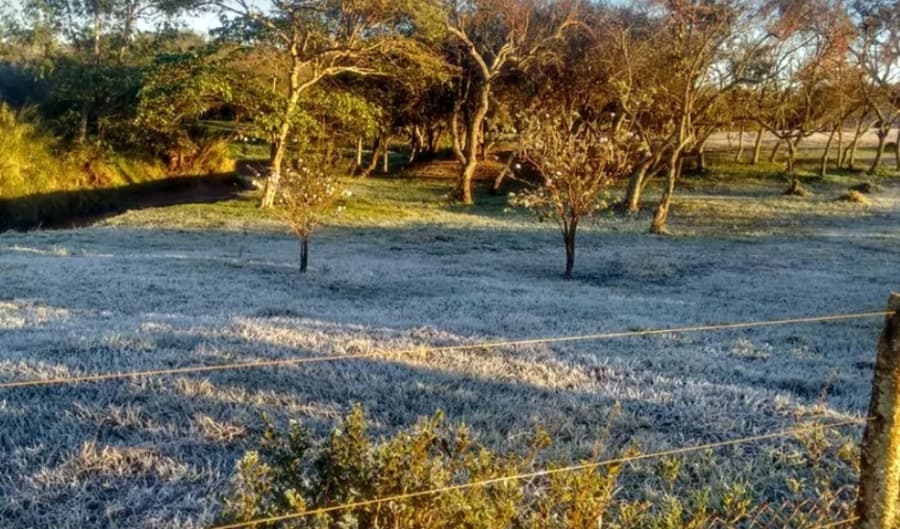 Sidrolândia registrou a sensação térmica mais baixa do Estado, -4ºC; diz Inmet