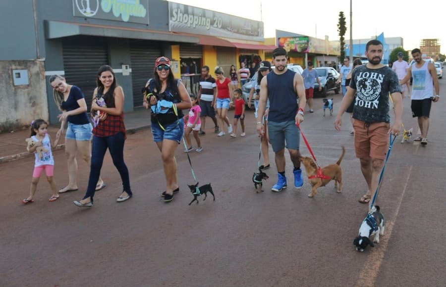 Com sorteio de brindes e concursos, Agrovet realiza 2ª cãominhada em Sidrolândia