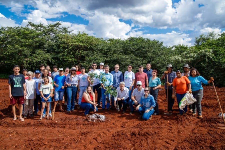 Com apoio de iniciativa privada, prefeitura inicia reflorestamento em Maracaju