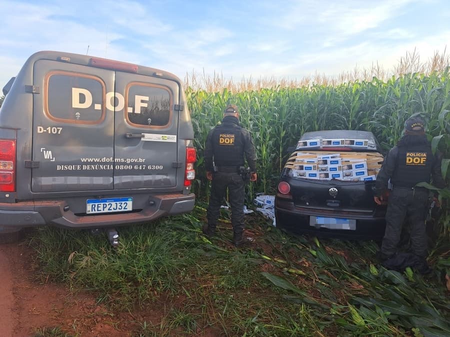 Quatro veículos carregados com cigarros contrabandeados são apreendidos pelo DOF