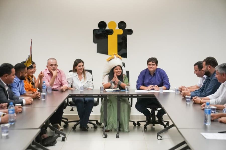 Junto com prefeitos de MS, Vanda Camilo participa de encontro com Ministra dos Povos Indígenas