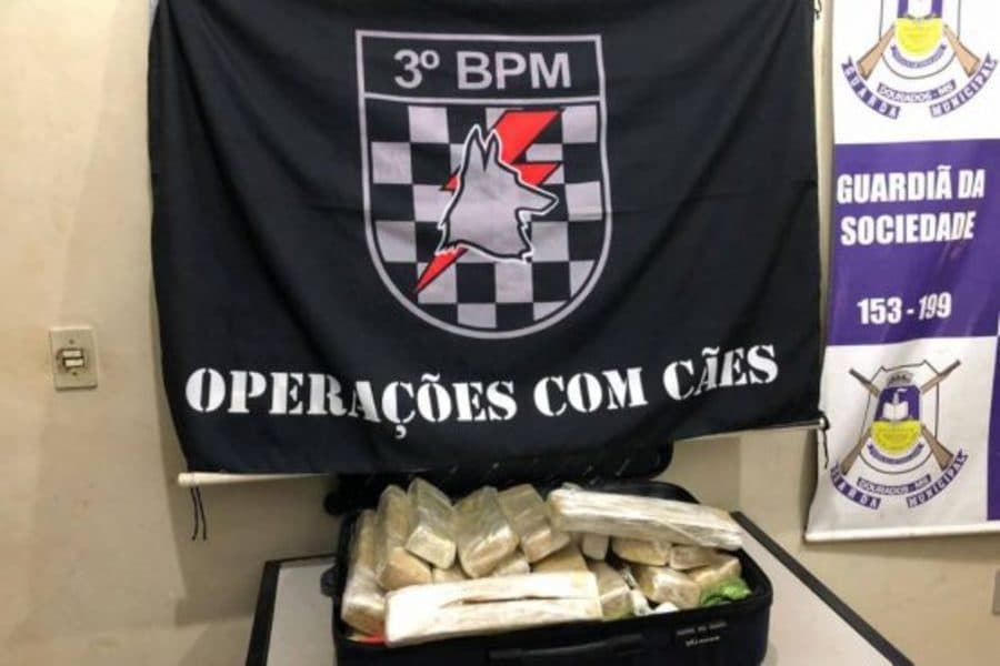 Menina de 14 anos é presa em flagrante levando maconha para SC