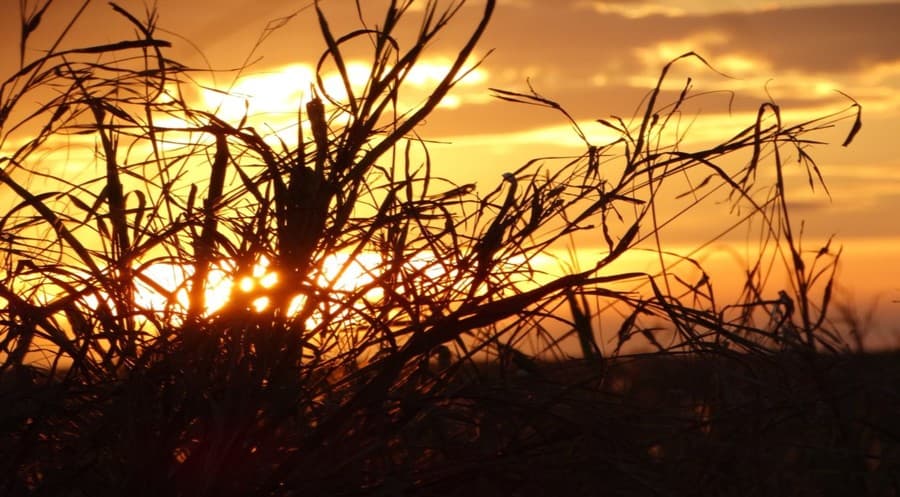 Fim de semana é ensolarado e de tempo seco em Mato Grosso do Sul