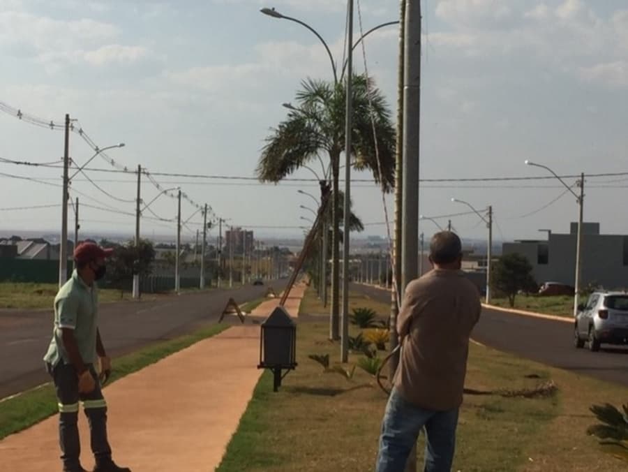 Após fiação elétrica ter sido furtada três vezes, Prefeitura altera instalação