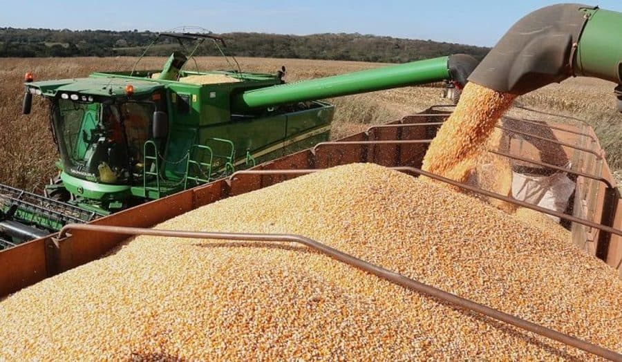 Devido ao clima, colheita de milho no MS deve terminar na próxima semana