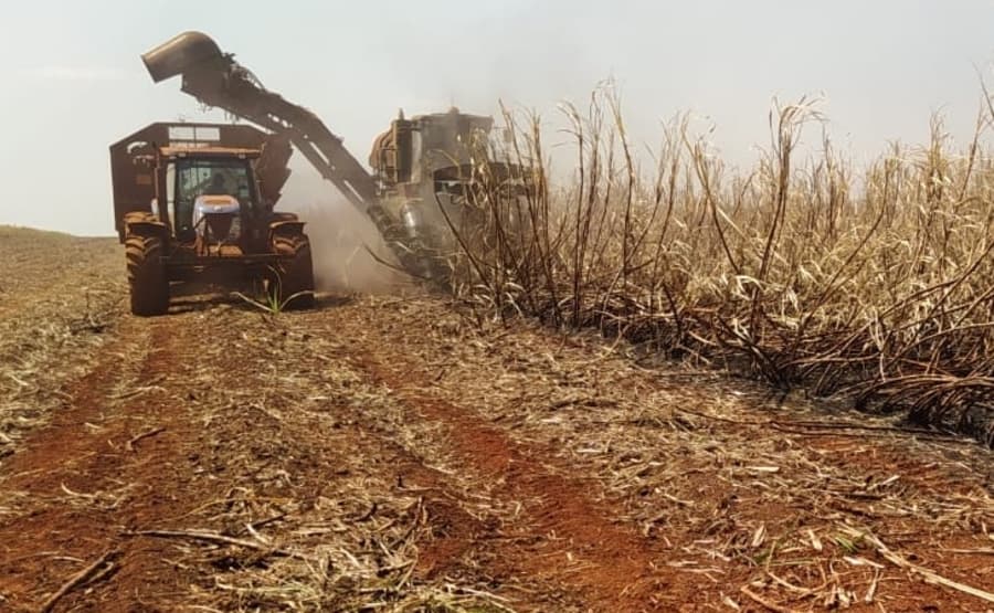 Após denúncia de incêndio proposital em lavoura de Sidrolândia, PMA multa em R$ 155 mil