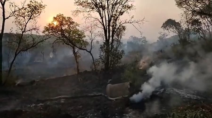 Incêndio de grandes proporções atinge área de mata próxima a residências do bairro Alto da Figueira