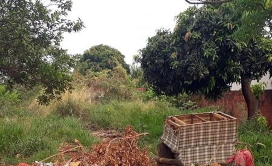 Terreno com mato alto, lixo e ratos preocupa moradores do Cascatinha 1