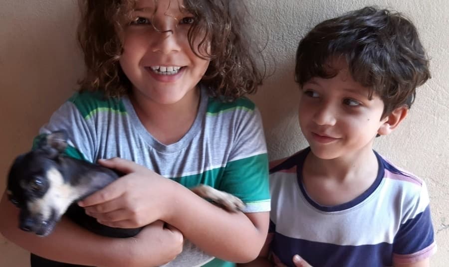 Após divulgação, cachorrinha Nina é encontrada e crianças agradecem comunidade