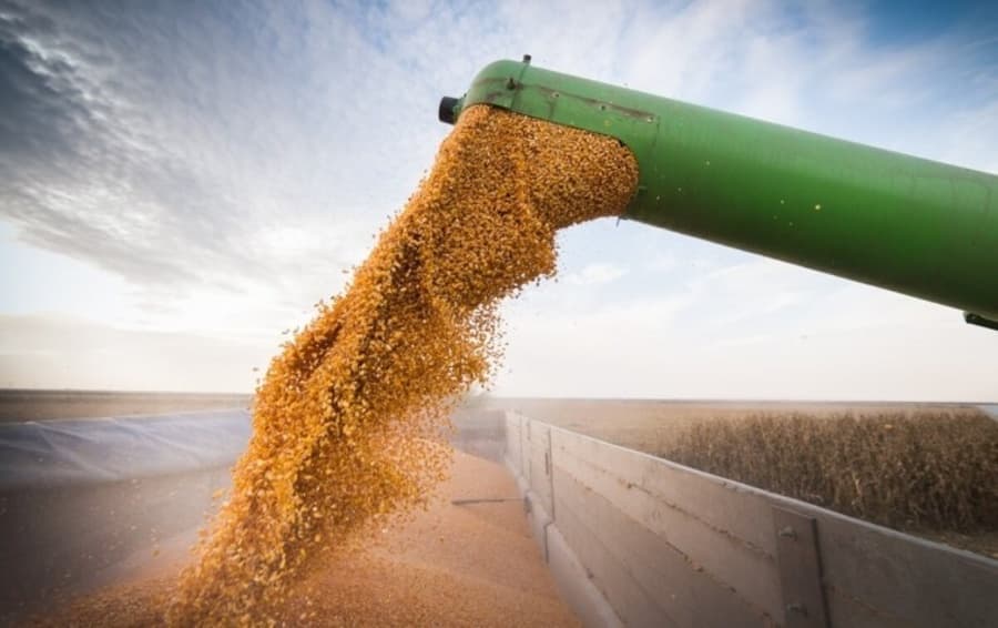 Novo censo coloca Maracaju e Sidrolândia entre os 10 maiores produtores de milho do Brasil