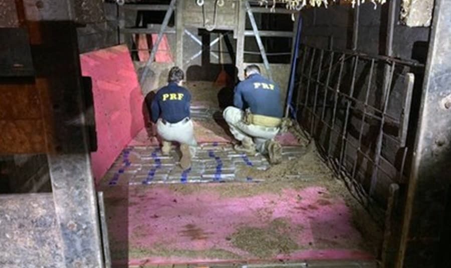 Durante fiscalização, homem de 33 anos é preso pela PRF por tráfico de drogas