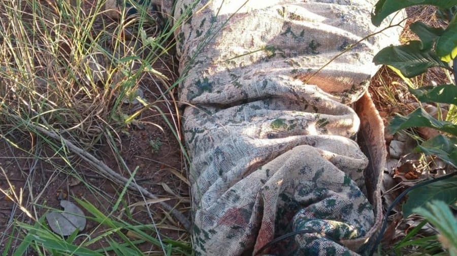 Corpo encontrado em Três Lagoas pode ser de homem executado em Sidrolândia, diz Polícia