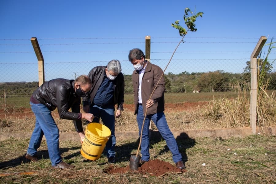 Prefeitura de Maracaju inicia implantação de Cortina Arbórea na UTR
