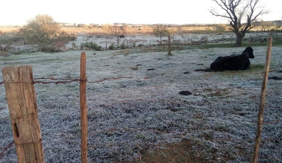 Frio: Sidrolândia, Maracaju e mais 25 cidades registraram geada e sensação de -1°C