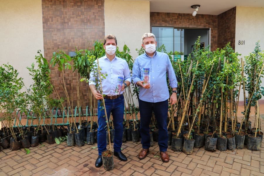 Prefeitura de Maracaju lança Projeto e distribui mudas de árvores para a comunidade