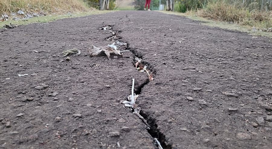 Vereadora Chris Fiuza pede revitalização da pista de caminhada no Parque Vacaria