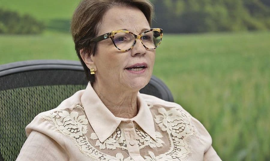 Ministra Tereza Cristina confirma presença em entrega de títulos no Eldorado II