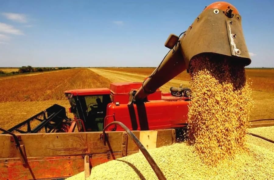 Maracaju lidera ranking de produção de grãos com terceiro maior PIB de MS