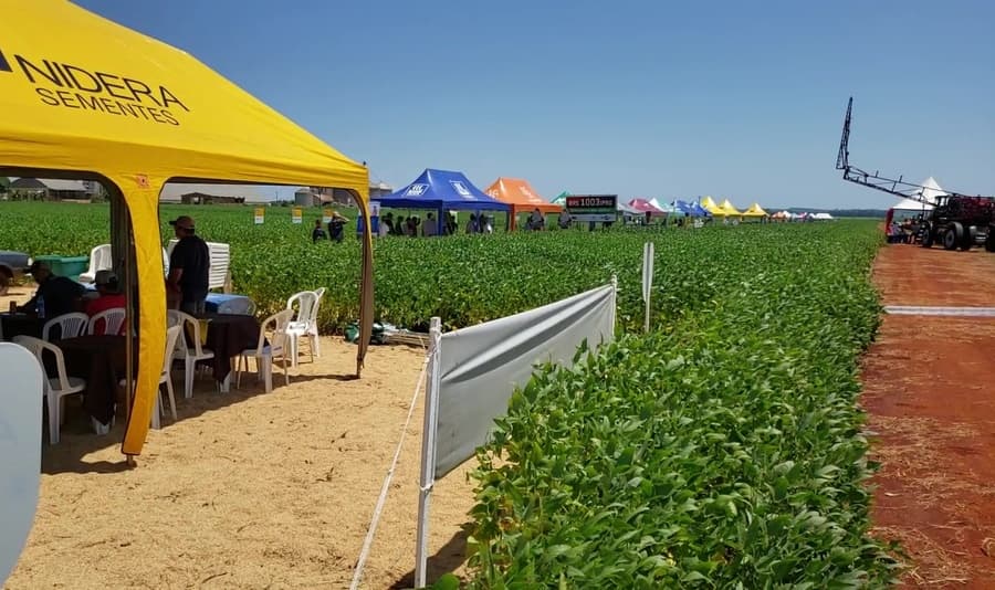 Dia de Campo da Rincão reúne produtores rurais nesta quarta-feira em Sidrolândia