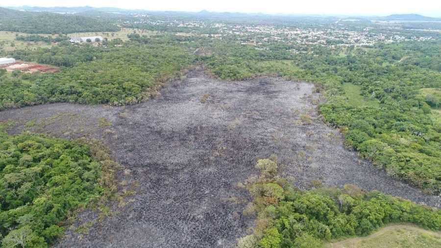 Sidrolândia está entre as cidades mais multadas em MS por crimes ambientais