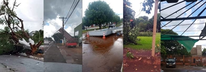Chuva com vento provocou queda de árvores e estragos em Sidrolândia