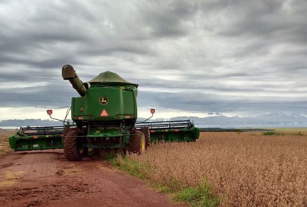 Produtores garantem que apesar de chuva, colheita avança em Sidrolândia