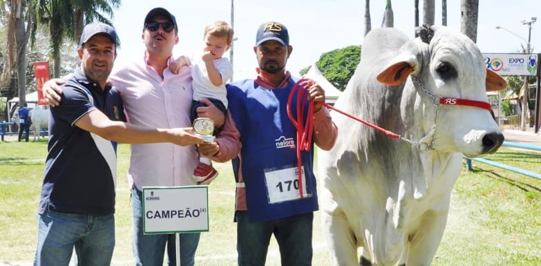 Expositor Sidrolandense é o grande campeão nelore da Expogrande 80 Anos