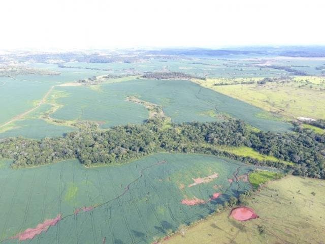 Proprietários rurais são multados em R$ 1 milhão por desmatamento ilegal