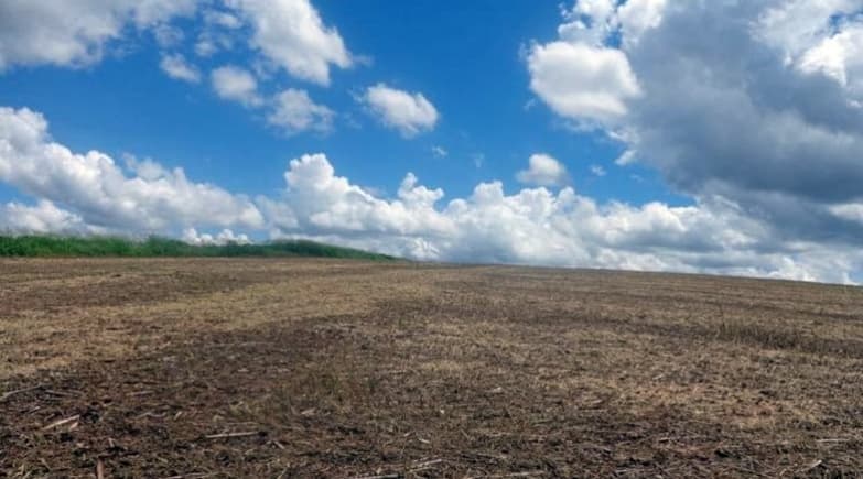 Maracajuense é autuado por desmatamento de 56,7 hectares para lavoura
