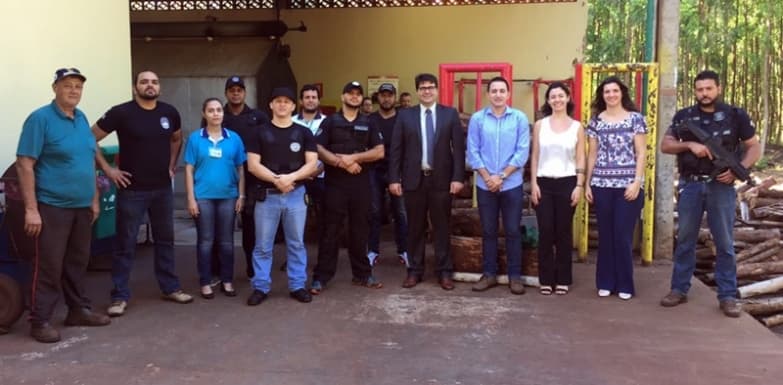 Polícia Civil de Sidrolândia realiza incineração de 3 toneladas de maconha