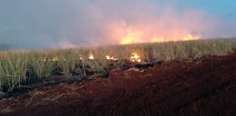 Usina de Vista Alegre é multada em R$ 25 mil por incêndio em lavoura de cana