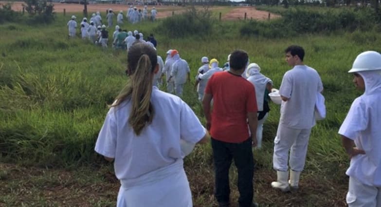 Vazamento fez 400 funcionários passarem mal e JBS pode ser multada em R$ 50 milhões