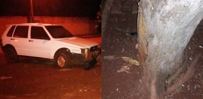 Motorista abandona veículo após colidir em árvore no São Bento