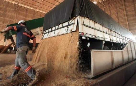 Maracaju, Ponta Porã e Sidrolândia puxam recorde na produção de Soja em MS
