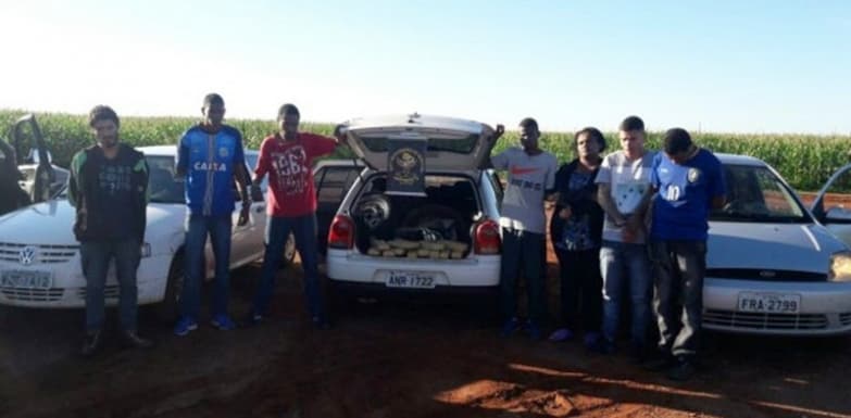 DOF prende sete traficantes e apreende carga de 196 quilos de maconha
