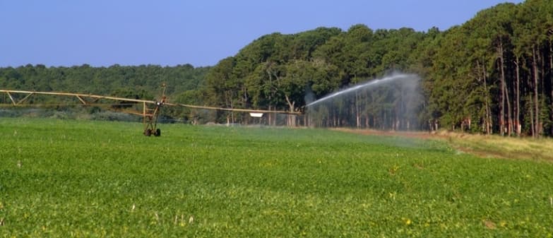 Sidrolandense dá exemplo de investimento e fertirrigação e economia atinge 14%