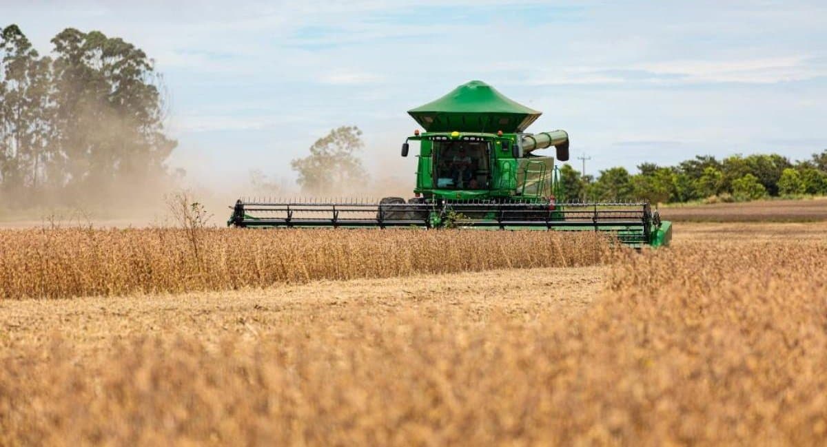 Sidrolândia se consolida como o 3º maior produtor de soja de Mato Grosso do Sul na safra 2025/2026