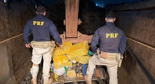 PRF apreende mais de 3,4 toneladas de maconha durante abordagem na BR-060 em Sidrolândia