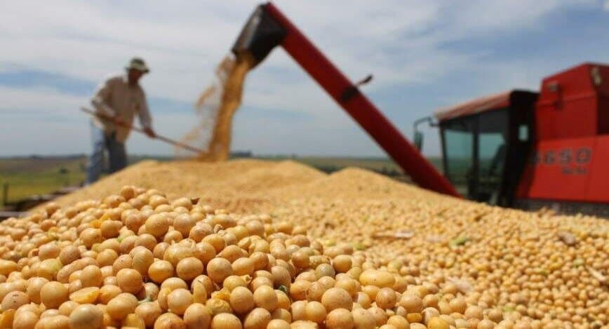 Maracaju retoma liderança na produção de soja em MS e se destaca entre maiores produtores do país