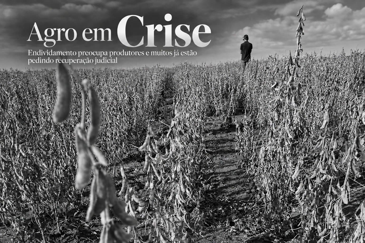 Agro em crise: Com dívidas de R$ 207 milhões, justiça autoriza recuperação do grupo Vicensi