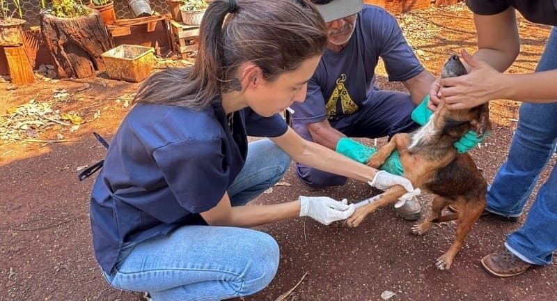 Campanha Antirrábica imuniza mais de mil animais na zona rural de Maracaju