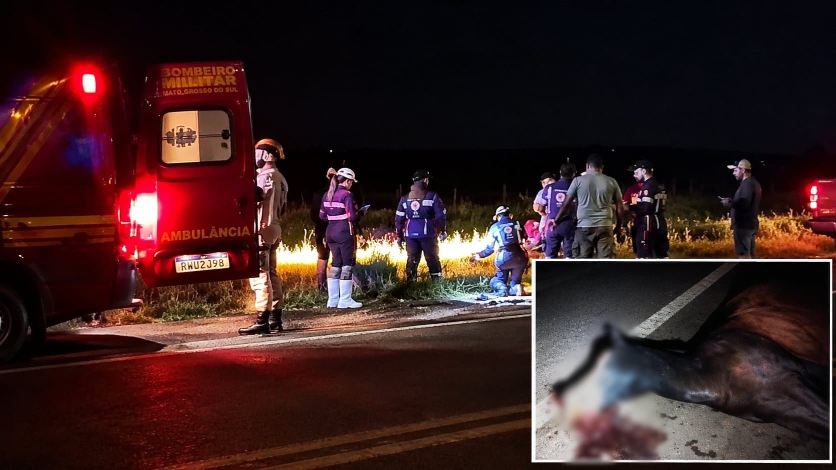 Fisioterapeuta fica ferido após carro bater em cavalo na BR-060 entre Sidrolândia e Campo Grande