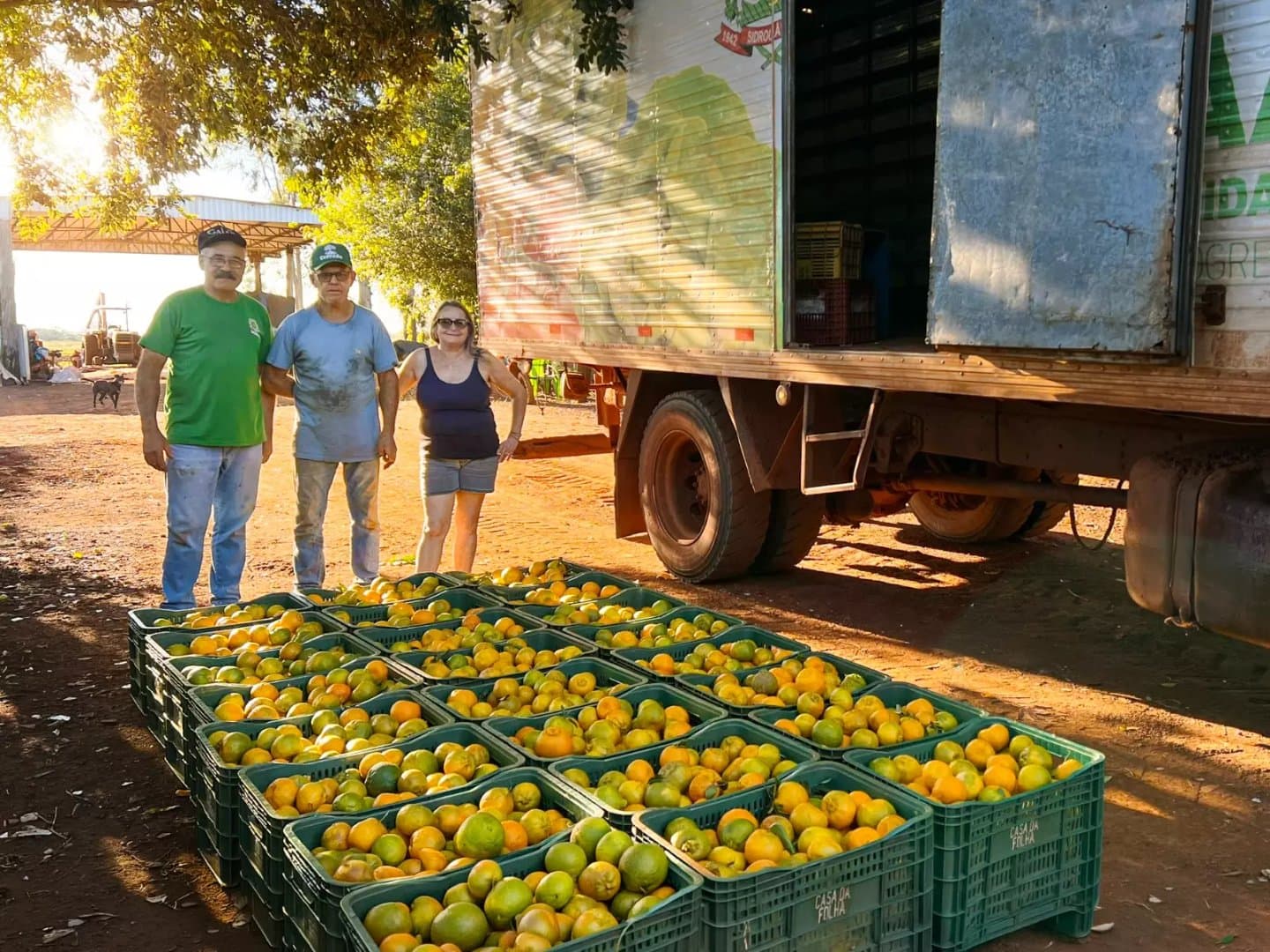 Sidrolândia lidera fornecimento de frutas, legumes e verduras para a Ceasa-MS