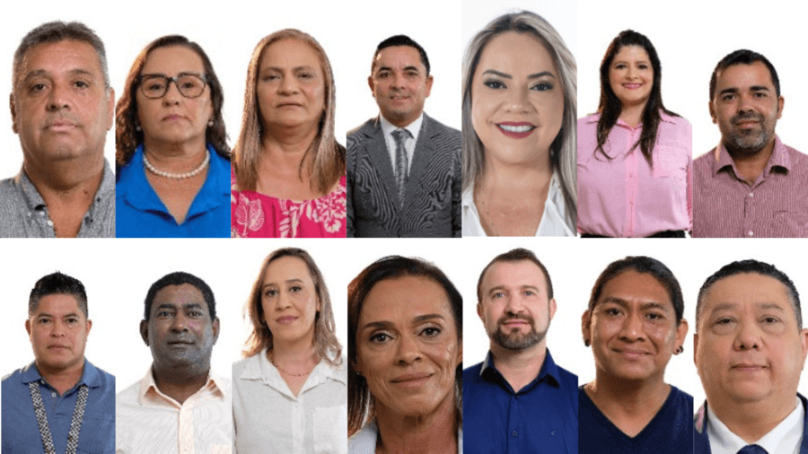Dos 14 candidatos do PP, dois estão no cargo e quatro já foram vereadores. Veja a lista
