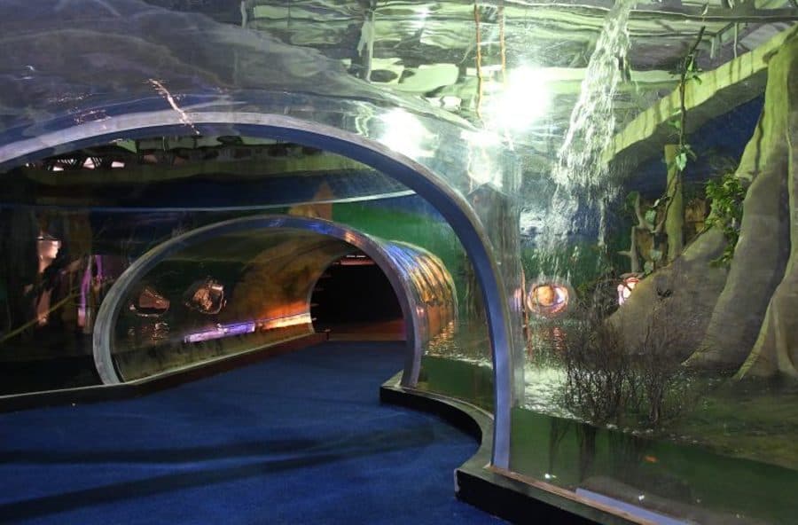 Aquário do Pantanal vira ‘Bioparque’ e será inaugurado nesta segunda-feira na Capital