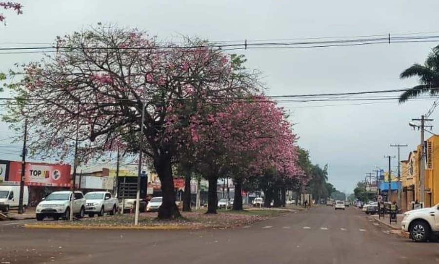 Clima Tempo confirma: MS receberá nova frente fria com mínimas de até -1ºC